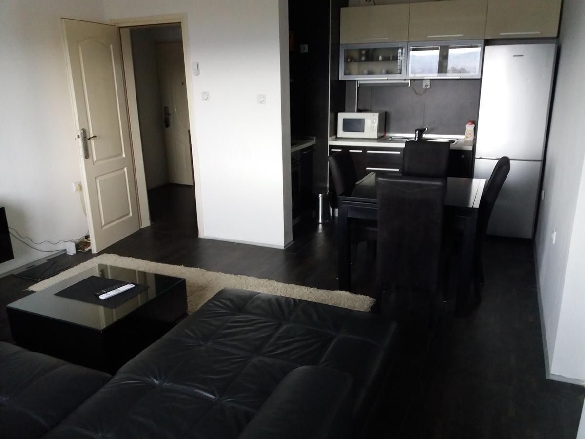 Tijana Apartment Ni Buitenkant foto
